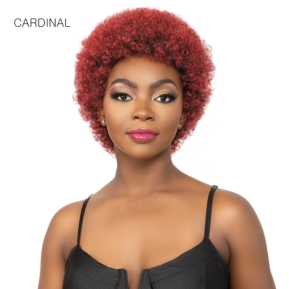 Janet Collection Natural Curly Synthetic Hair Wig - AFRO CADY 5 Janet Collection Natural Curly Synthetic Hair Wig - AFRO CADY - Image 5