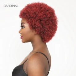 Janet Collection Natural Curly Synthetic Hair Wig - AFRO CADY 13 Janet Collection Natural Curly Synthetic Hair Wig - AFRO CADY -Wigs Online Shop janet collection natural curly synthetic hair wig afro cady 5