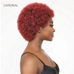 Janet Collection Natural Curly Synthetic Hair Wig - AFRO CADY 14 Janet Collection Natural Curly Synthetic Hair Wig - AFRO CADY -Wigs Online Shop janet collection natural curly synthetic hair wig afro cady 6