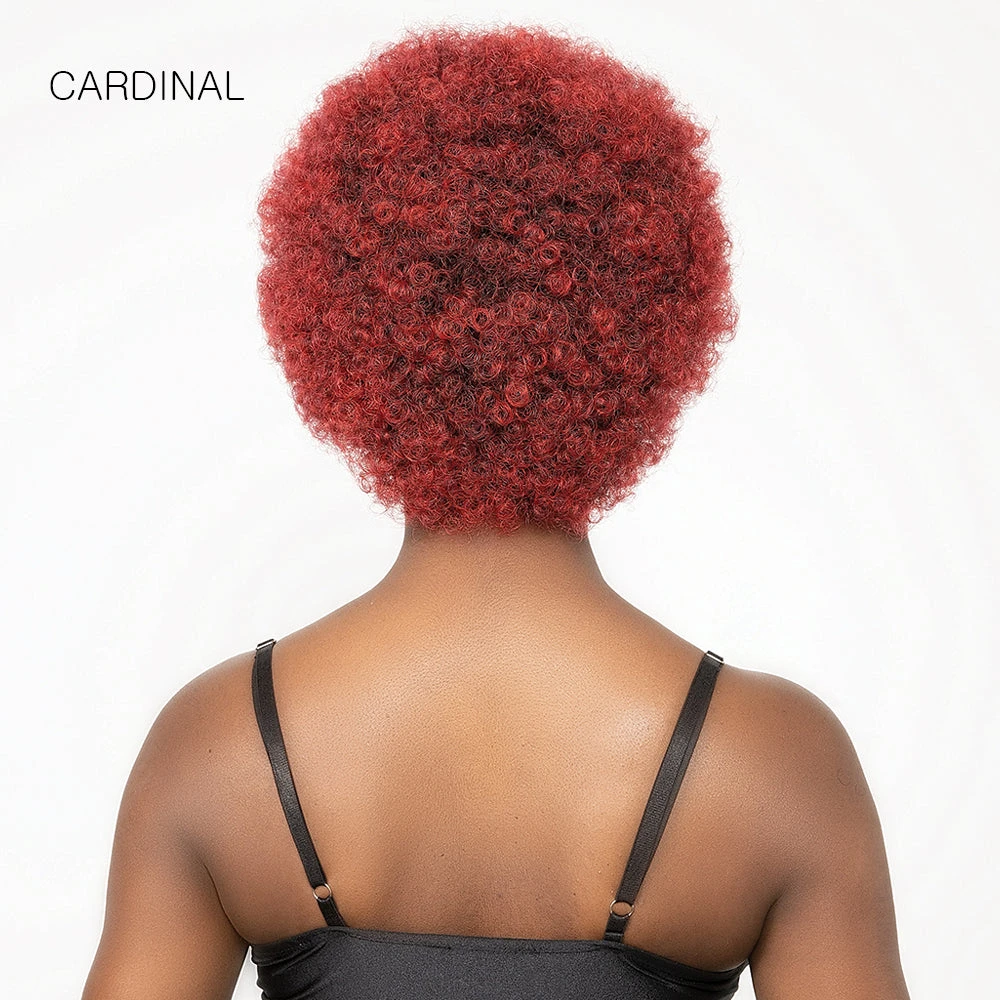 Janet Collection Natural Curly Synthetic Hair Wig - AFRO CADY 8 Janet Collection Natural Curly Synthetic Hair Wig - AFRO CADY - Image 8