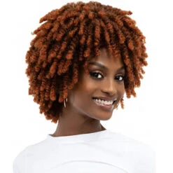 Janet Collection Natural Curly Synthetic Hair Wig - NATURAL AFRO KANE -Wigs Online Shop janet collection natural curly synthetic hair wig natural afro kane 4