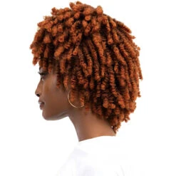 Janet Collection Natural Curly Synthetic Hair Wig - NATURAL AFRO KANE -Wigs Online Shop janet collection natural curly synthetic hair wig natural afro kane 5