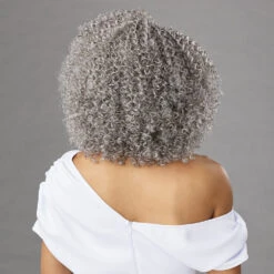 Sensationnel Dashly Salt N Pepper Synthetic Hair HD Lace Front Wig - SP LACE UNIT 8 -Wigs Online Shop sensationnel synthetic hair dashly salt n pepper hd lace front wig sp lace unit 8 3